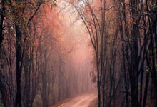 巴勒斯坦女足崭露头角，实力引发热议