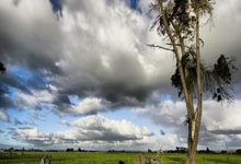 亚眠主场迎战尼斯，双方实力对比