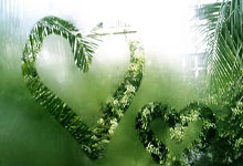 摩纳哥主场胜利，晋级积分榜前列