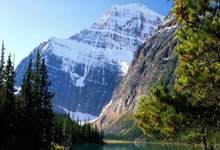 摩纳哥主场胜利，晋级积分榜前列