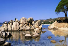 乌迪内斯客场全取三分，领跑积分榜